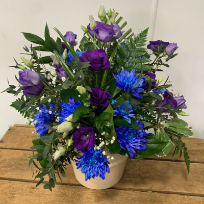 A New Day - Flowers to put a smile on their face. Let them know that you’re thinking of them with this fun petite collection of flowers and foliage to send same day. Flowers for same day delivery by the local florist.